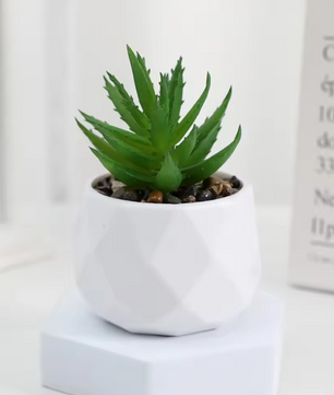 Mini Kunst Succulent Bonsai – Decoratieve Vetplant voor Bureau en Interieur