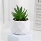 Mini Kunst Succulent Bonsai – Decoratieve Vetplant voor Bureau en Interieur