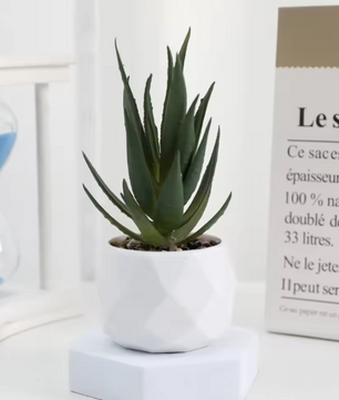 Mini Kunst Succulent Bonsai – Decoratieve Vetplant voor Bureau en Interieur