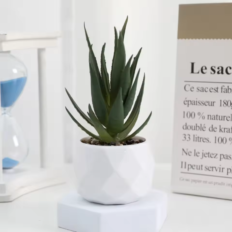 Mini Kunst Succulent Bonsai – Decoratieve Vetplant voor Bureau en Interieur