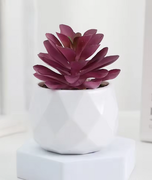 Mini Kunst Succulent Bonsai – Decoratieve Vetplant voor Bureau en Interieur