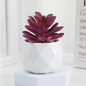 Mini Kunst Succulent Bonsai – Decoratieve Vetplant voor Bureau en Interieur