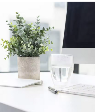 Set van 2 Kunstmatige Eucalyptus Planten – Kleine Decoratieve Kunstplanten in Pot