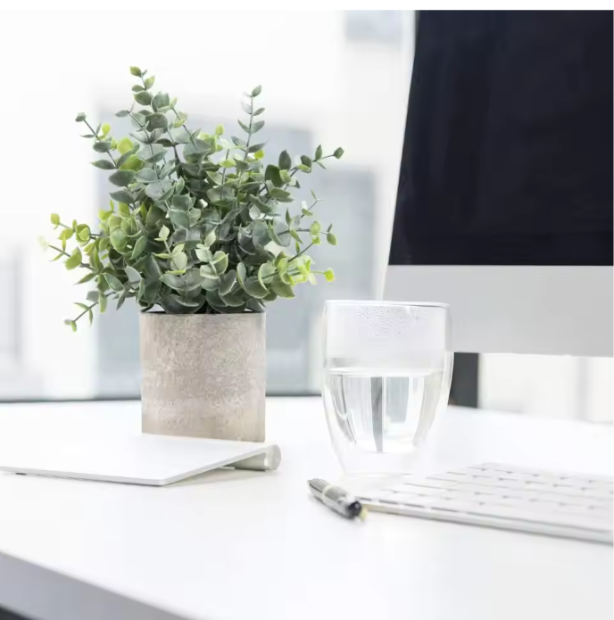 Set van 2 Kunstmatige Eucalyptus Planten – Kleine Decoratieve Kunstplanten in Pot