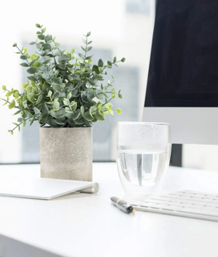 Set van 2 Kunstmatige Eucalyptus Planten – Kleine Decoratieve Kunstplanten in Pot