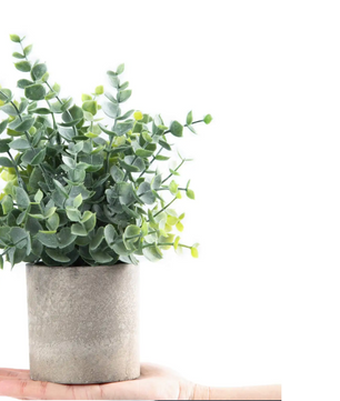 Set van 2 Kunstmatige Eucalyptus Planten – Kleine Decoratieve Kunstplanten in Pot