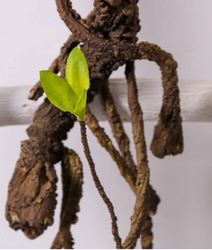 Kunstmatige Gedroogde Wijnrank – Decoratieve Hangende Vine voor Interieur en Feestdecoratie