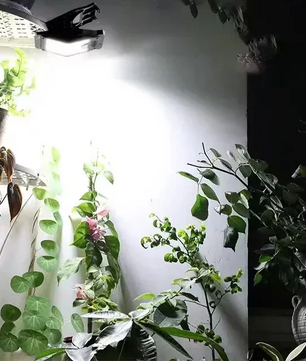 Solar Clip Lamp met Bewegingssensor – 58 LED Draadloze Hekverlichting voor Tuin en Patio