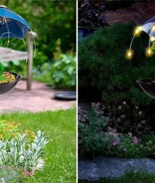 Solar Kikker Tuinlamp met Vogelvoeder – Decoratieve LED Tuinverlichting voor Pad en Gazon