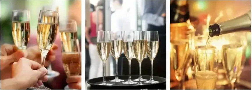 RVS Wijnkoelstok met Schenker – Wijn Chiller Stok voor Fles