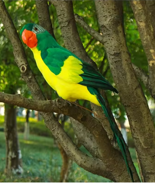 Realistische Papegaai Tuindecoratie – Handgemaakt Vogel Ornament voor Tuin, Balkon en Interieur