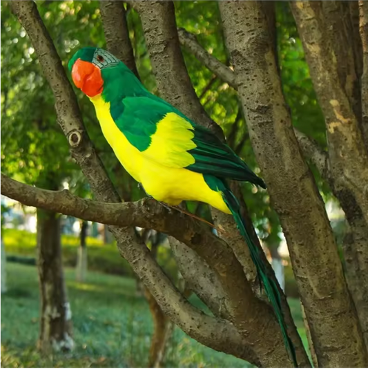 Realistische Papegaai Tuindecoratie – Handgemaakt Vogel Ornament voor Tuin, Balkon en Interieur
