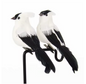 Kunstmatige Decoratieve Vogel – Realistisch Veer Vogel Ornament voor Huis, Tuin en Decoratie