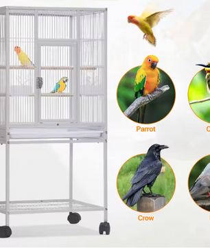 Vogelkooi met Rolstandaard en Opbergplank – Ruime Papegaaienkooi met Lade, Zitstokken en Voerbakken