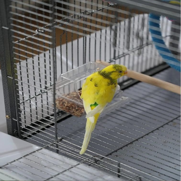 Metalen Vogelkooi 60 cm met Lade en Zitstok – Ruime Kooi voor Parkieten, Kanaries en Papegaaien