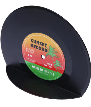 Retro Vinyl Platen Boekensteunen Set van 2 – Decoratieve LP Boeksteunen voor Planken en Bureau