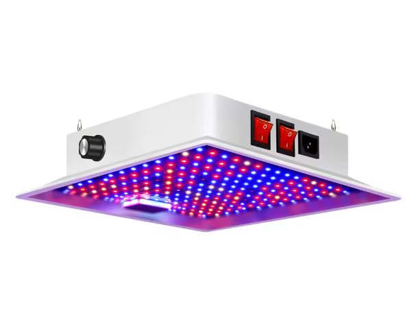 100W Full Spectrum LED Kweeklamp – Plantengroeilamp voor Binnenplanten, Kas en Zaailingen