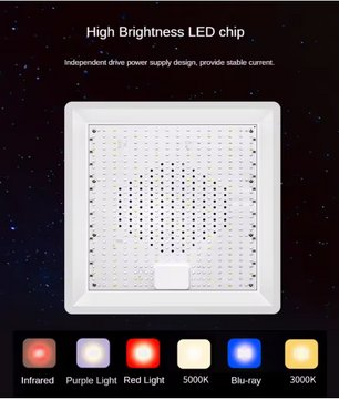 100W Full Spectrum LED Kweeklamp – Plantengroeilamp voor Binnenplanten, Kas en Zaailingen