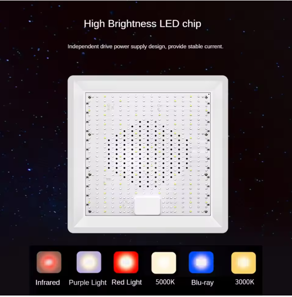 100W Full Spectrum LED Kweeklamp – Plantengroeilamp voor Binnenplanten, Kas en Zaailingen