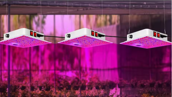 100W Full Spectrum LED Kweeklamp – Plantengroeilamp voor Binnenplanten, Kas en Zaailingen