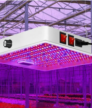 100W Full Spectrum LED Kweeklamp – Plantengroeilamp voor Binnenplanten, Kas en Zaailingen