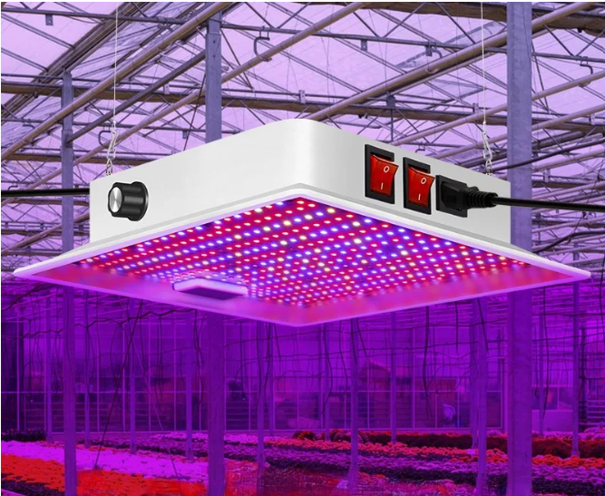 100W Full Spectrum LED Kweeklamp – Plantengroeilamp voor Binnenplanten, Kas en Zaailingen