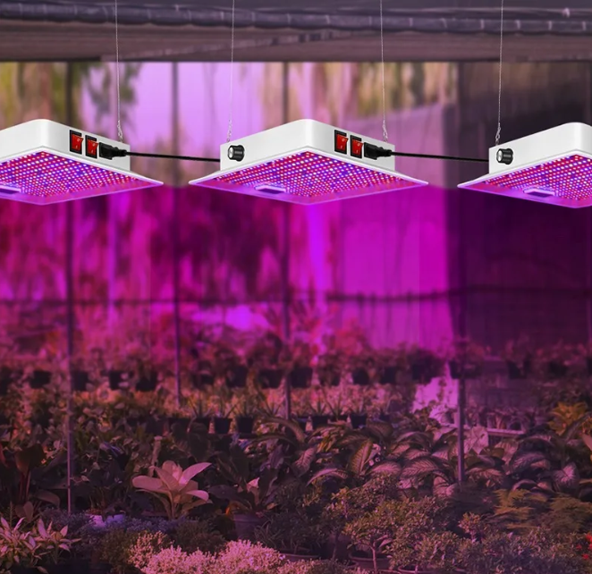 100W Full Spectrum LED Kweeklamp – Plantengroeilamp voor Binnenplanten, Kas en Zaailingen