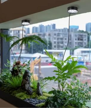LED Kweeklamp met Timer – Dimbare USB Terrarium Lamp voor Kamerplanten, Magnetisch of Zelfklevend