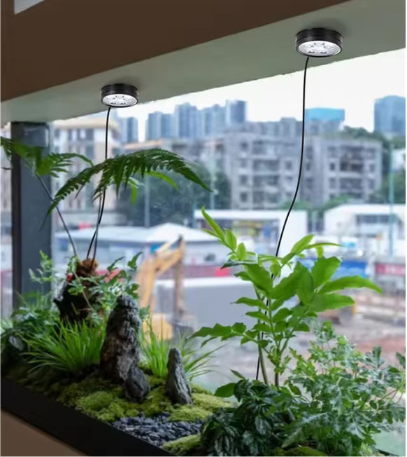 LED Kweeklamp met Timer – Dimbare USB Terrarium Lamp voor Kamerplanten, Magnetisch of Zelfklevend