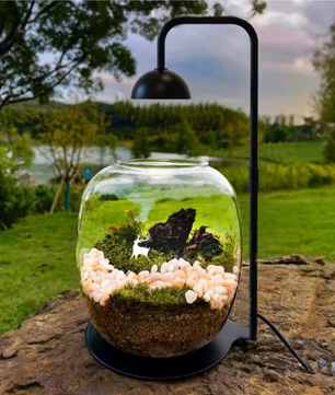 Micro Landscape Plantengroeilamp met Timer – Verstelbare Terrarium Lamp voor Kleine Planten