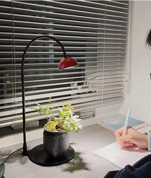Full Spectrum Plantengroeilamp met Timer – Verstelbare Terrarium Lamp voor Kamerplanten