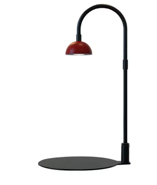 Full Spectrum Plantengroeilamp met Timer – Verstelbare Terrarium Lamp voor Kamerplanten