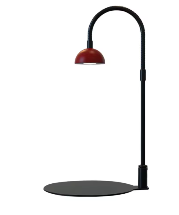 Full Spectrum Plantengroeilamp met Timer – Verstelbare Terrarium Lamp voor Kamerplanten