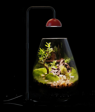 Full Spectrum Plantengroeilamp met Timer – Verstelbare Terrarium Lamp voor Kamerplanten