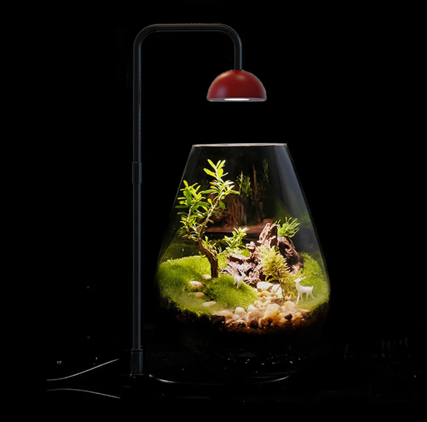 Full Spectrum Plantengroeilamp met Timer – Verstelbare Terrarium Lamp voor Kamerplanten