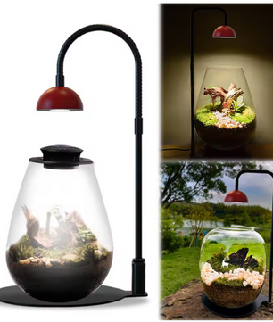 Micro Landscape Plantengroeilamp met Timer – Verstelbare Terrarium Lamp voor Kleine Planten