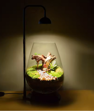 Micro Landscape Plantengroeilamp met Timer – Verstelbare Terrarium Lamp voor Kleine Planten
