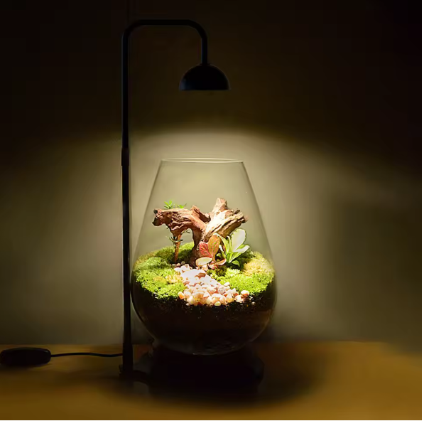 Micro Landscape Plantengroeilamp met Timer – Verstelbare Terrarium Lamp voor Kleine Planten