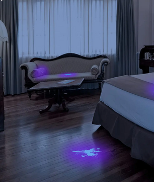 UV Zaklamp 100 LED – 395nm Ultraviolet Lamp voor Detectie en Inspectie