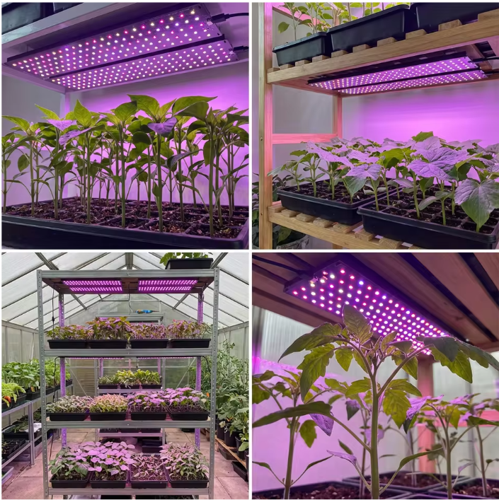 Full Spectrum LED Kweeklamp voor Planten – Dimbare Groeilamp met Timer voor Plantplanken