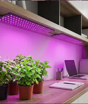 Full Spectrum LED Kweeklamp voor Planten – Dimbare Groeilamp met Timer voor Plantplanken
