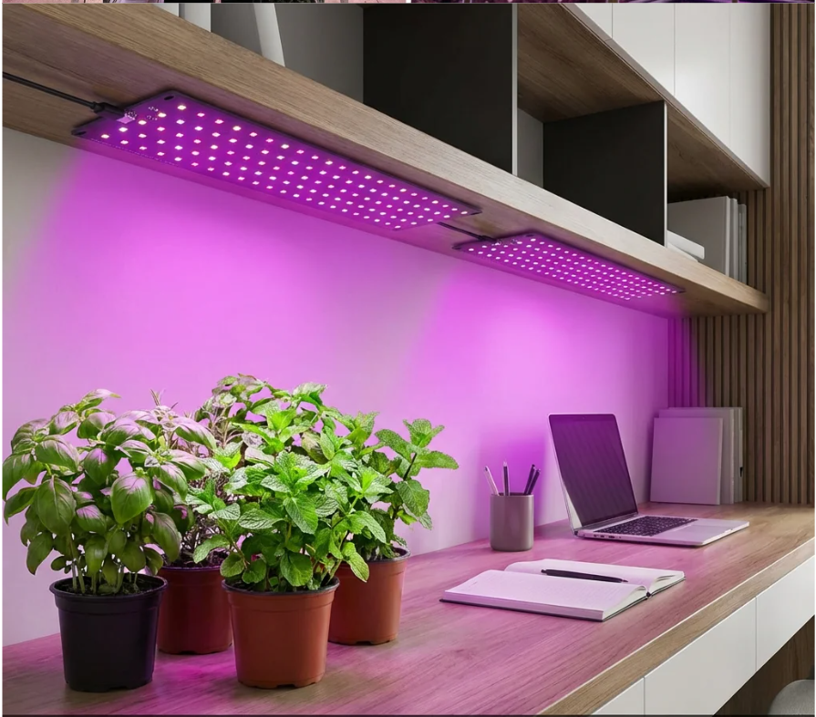 Full Spectrum LED Kweeklamp voor Planten – Dimbare Groeilamp met Timer voor Plantplanken