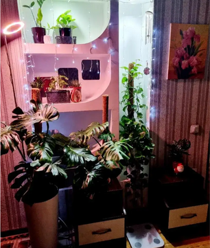 LED Kweeklamp met Standaard – Verstelbare Full Spectrum Groeilamp voor Kamerplanten