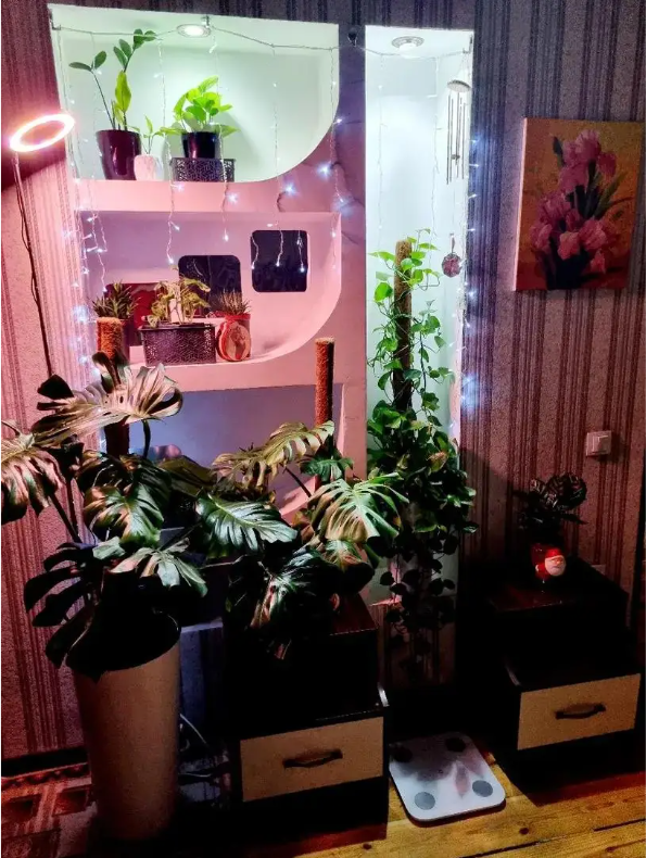 LED Kweeklamp met Standaard – Verstelbare Full Spectrum Groeilamp voor Kamerplanten