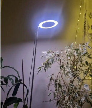 LED Kweeklamp met Standaard – Verstelbare Full Spectrum Groeilamp voor Kamerplanten