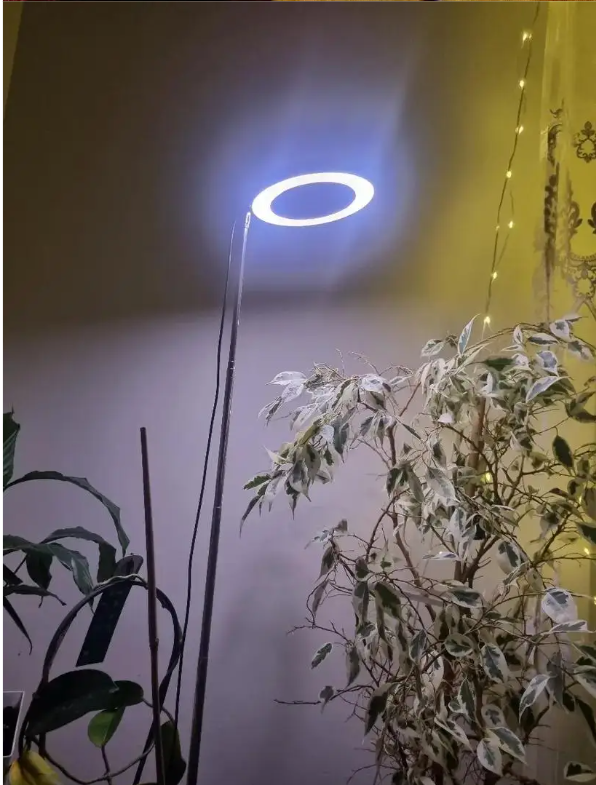 LED Kweeklamp met Standaard – Verstelbare Full Spectrum Groeilamp voor Kamerplanten
