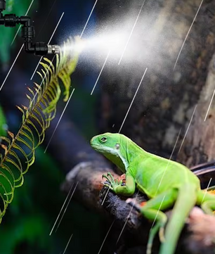 Terrarium Mist Systeem voor Reptielen – Automatische Sproei- en Bevochtigingsinstallatie