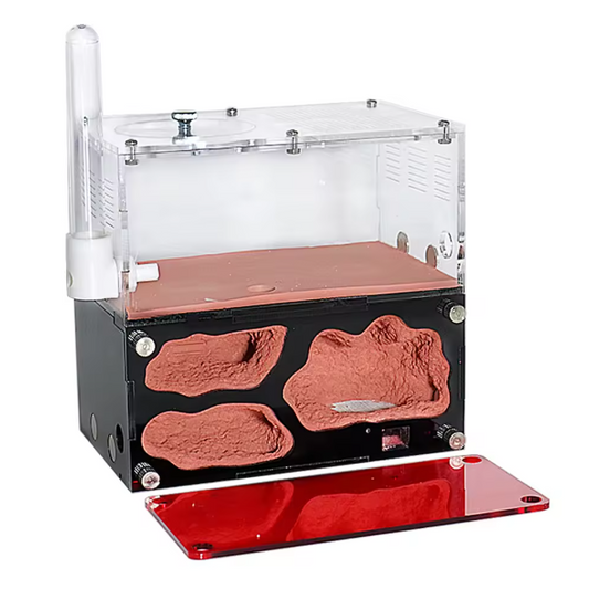 Acryl Mierenboerderij met Temperatuurregeling – Uitbreidbaar Mieren Nest Observatie Kit