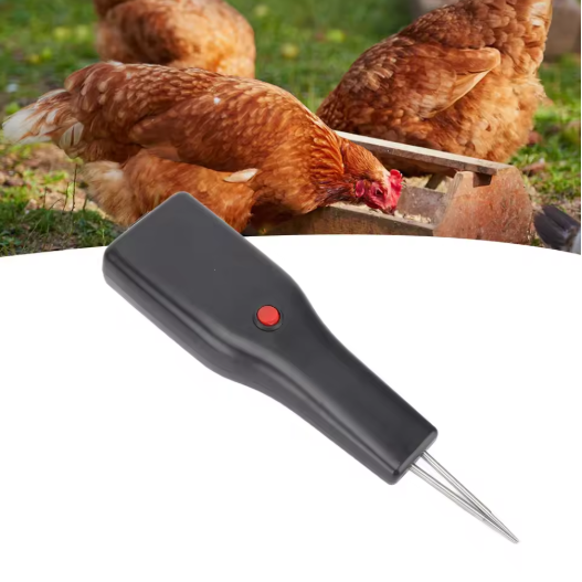 Elektrische Pluimvee Plukker – Handheld Verenverwijderaar voor Kip en Gevogelte