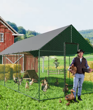 Grote Metalen Kippenren met Dak – Buitenren voor Kippen en Pluimvee